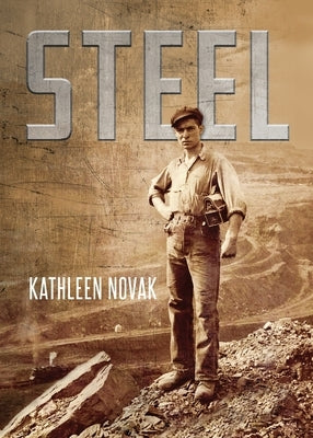 Steel by Novak, Kathleen